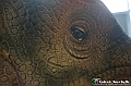 VBS_0896 - Dinosauri. Terra dei giganti